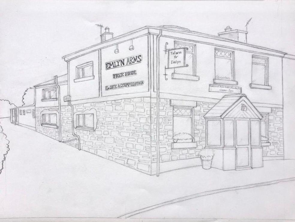 Emlyn Arms Bed & Breakfast Llanarthney Exterior photo
