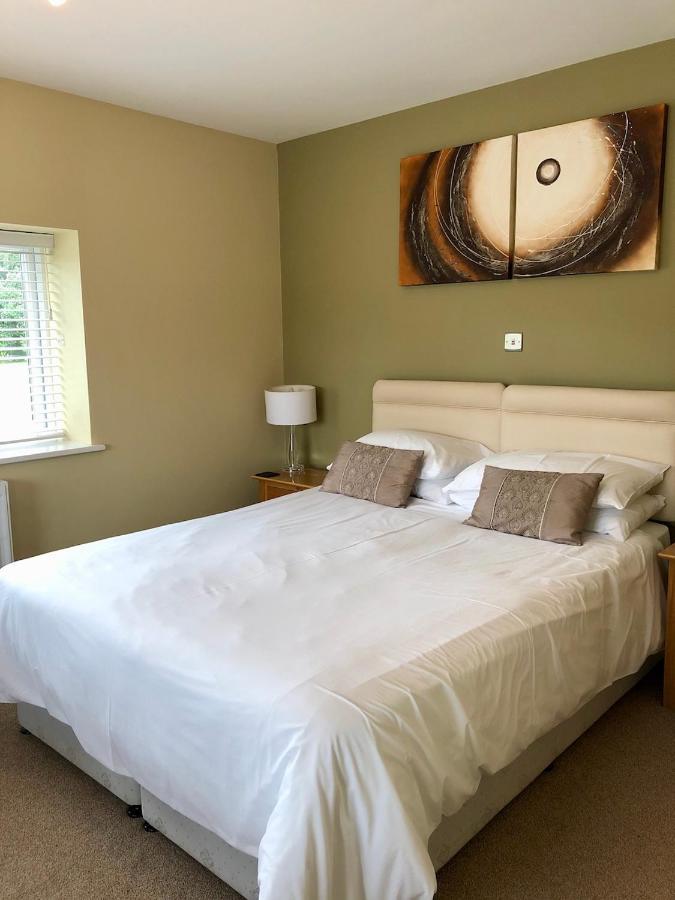 Emlyn Arms Bed & Breakfast Llanarthney Exterior photo